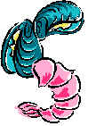mussels.wmf (25298 bytes)
